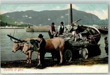 Ochsenkarren Caretta di Bovi