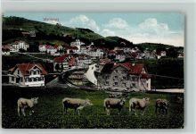 9104 Waldstatt Gebrauchsspuren 1912 Kühe