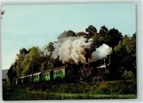 3177 Laupen BE - Lok E 3/3 Nr 1 und 11 Schloss