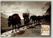 3910 Saas-Grund Foto AK Lastesel Maultierpost Frankatur Vorderseite