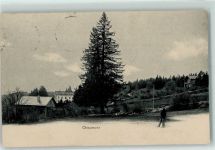 2067 Chaumont 1909 - Tanne