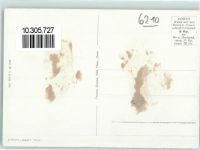 6210 Sursee Gebrauchsspuren Fliegeraufnahme