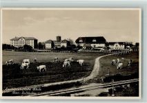 3052 Zollikofen - Landwirtschaftliche Schule Kühe