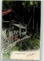 1860 Aigle 1904 - Chalet dans la foret Ort lt. Stempel