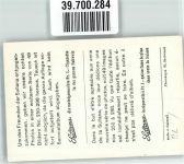 4460 Gelterkinden FOTO KEINE AK Dorfplatz Foto Gaberell Werbung Sullana Zigaretten Serie