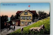Hörnli ZH - Berggasthaus Pferdefuhrwerk Kühe
