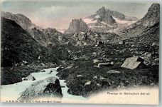 6491 Realp - Gallenstock