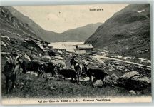 Oberalp 1912 - Kurhaus Oberalpsee Ziegen