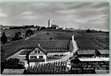 8215 Hallau - Bergkirche St. Moritz