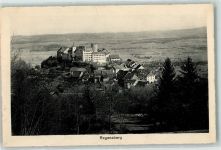 8158 Regensberg 1918 - Schloss