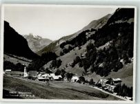 7326 Weisstannen Foto AK Foostock Foto Gross