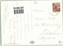 7326 Weisstannen Foto AK Foostock Foto Gross