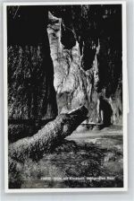 6340 Baar Walterswil ZG - Dom mit Krokodil, Höllgrotte