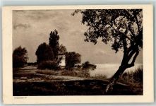 9423 Altenrhein 1915 - Pension Rheinhof