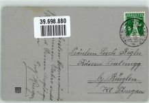 3076 Worb 1916 - Winter Flagge Tannenzweign Neujahrsgruss