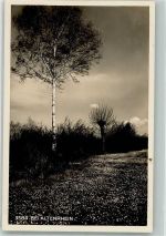 9423 Altenrhein 1939 Foto AK