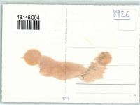 8926 Kappel am Albis Gebrauchsspuren Fliegeraufnahme Anstalt