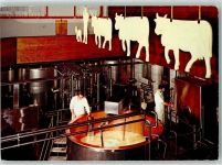 9063 Stein AR - Appenzeller Schaukäserei