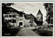 5705 Hallwil Foto AK Schloss