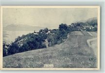 2533 Leubringen Evilard Künstlerkarte sign Rosalie Hänni