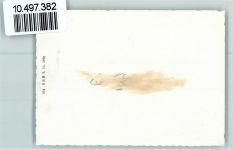 2513 Twann 1939 FOTO KEINE AK Ufer Turm Winter Neujahr Foto 10cm x 7cm, rückseitig Haftspuren