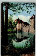 5705 Hallwil Foto AK Schloss