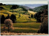 8495 Sitzberg Schmidrüti Foto AK Aktion gegen Atomkraftwerke 1987 Foto Burkhardt