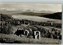 5707 Seengen 1953 Foto AK Hallwilersee