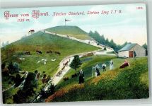 8496 Steg im Tösstal 1909 - Hörnli Kulm Station Strg Kühe