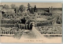 1290 Versoix - Bise Glaciale