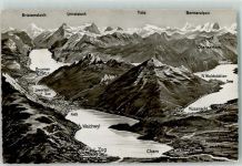 6330 Cham - Vierwaldstättersee Vogelschau Zugersee