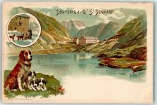 1946 Bourg-St-Pierre Lithographie Hospiz auf dem Grossen St. Bernhard Hunde Bernardiener