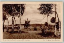 4123 Allschwil Neuallschwil - Frühling