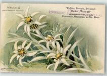 3000 Bern Berne - Werbung Waffeln Biscuits Marke Papagei Edelweiss