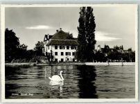 8592 Uttwil Gebrauchsspuren Schwan Foto Gross