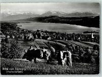 5707 Seengen - Eichberg Kühe