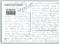 5707 Seengen - Eichberg Kühe