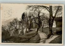 6441 Rütli 1923 Foto AK Rütliwiese