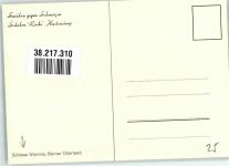 3752 Wimmis Radierung Schloss