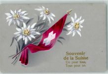 1296 Coppet 1916 Gebrauchsspuren Souvenir de la Suissse Schweizerfahne mit Edelweiss lt. Stempel