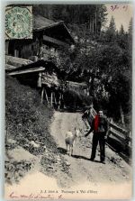 1873 Val-d'Illiez 1905 - Bauernfrau mit Ziege