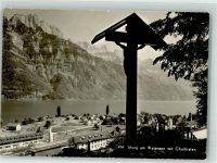 8877 Murg Foto AK Walensee Churfirsten Foto Steinemann
