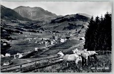 9108 Gonten - Ziegen