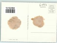 6197 Schangnau Gebrauchsspuren Fliegeraufnahme