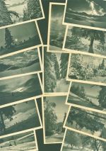 Lot mit 52 AK Schweizer Landschaften Fotograf Gaberell einige mehrfach Sammlung Schweiz Posten 21 bis 100 AK