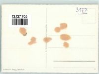 3177 Laupen BE - Fliegeraufnahme mit den Alpen