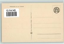 9425 Thal - Frühlings-Studie