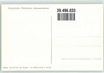 9423 Altenrhein Foto AK Schwanenkolonie bodensee