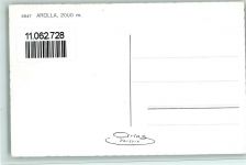 1986 Arolla - Le village Le gracieux costume d'Herons Le Mont Collon