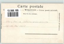 3123 Belp 1903 Foto AK Schützenfest Schützenfestzug